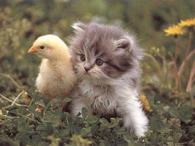 Cute chick with nice pussy :-)